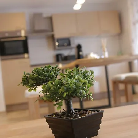 Apartment Claudia Sinsheim